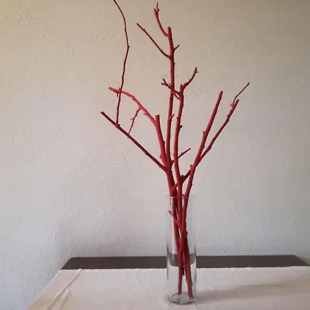 Corallo